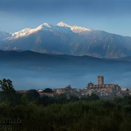 キリヤード シュード ペルピニャン