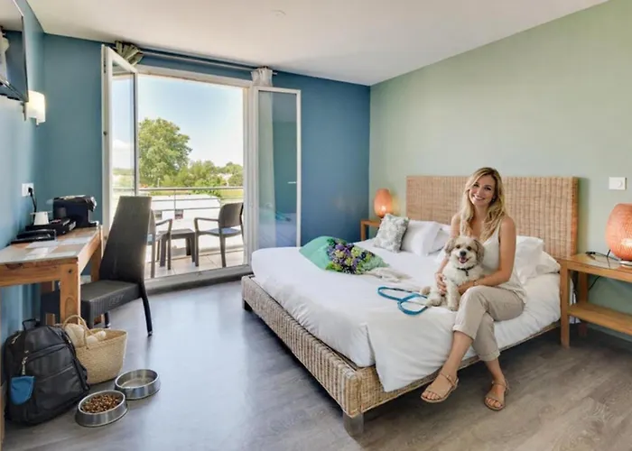 Kyriad Sud فندق بيربينيو